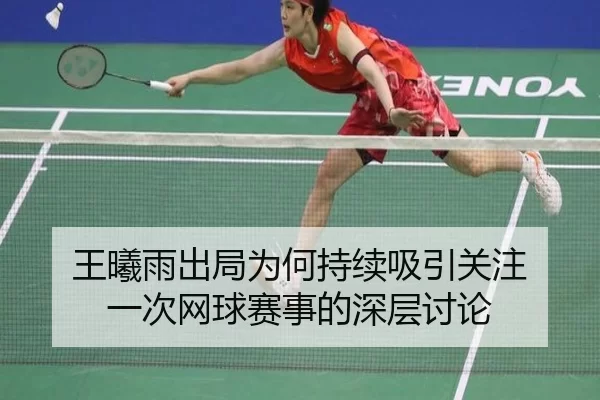 wang-xi-yu-chu-ju-wei-he-chi-xu-xi-yin-guan-zhu-yi-ci-wang-qiu-sai-shi-de-shen-ceng-tao-lun-2-846.jpg